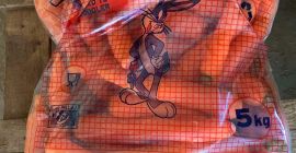 Młode, smaczne marchewki, opakowanie 10kg 0,35 €, duże 0,25