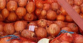 Cebula, 23000 kg Więcej informacji można uzyskać pod numerem