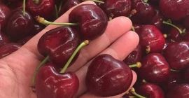 Wiśnie duże są sprzedawane w pudełkach po 2kg w