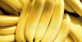 Nazwa produktu Świeży banan Cavendish Duży rozmiar Z Turcji