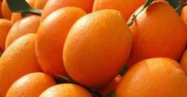 wartość przedmiotu Styl Rodzaj produktu świeżego Rodzaj cytrusów Typ