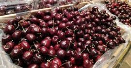 Wiśnie duże sprzedawane są w pudełkach po 2 kg