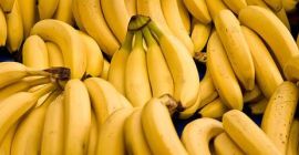 Nazwa produktu Świeży banan Cavendish Duży rozmiar Z Turcji