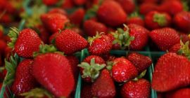 Wartość pozycji Styl Rodzaj produktu świeżego Rodzaj jagód Rodzaj