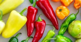 Cena i kalibry do negocjacji, mamy wszystko, czego potrzebujesz