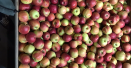 Sprzedam Idareta 7+. Naszykuje w dowolne opakowanie. Cena podlega