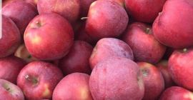 Wiecej info priv 607316453