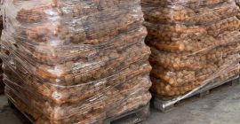 sprzedam ziemniaki, odmiana vineta, worek 15kg, na palecie, cena