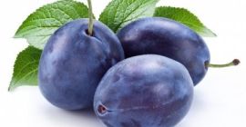 prune cicarscaia rania 21iulie prune stelnei 12sierpnia