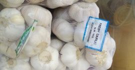 Czosnek (Allium sativum) jest szeroko stosowany jako przyprawa w