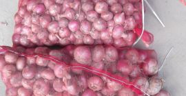 2021 SWEET POTATO new crop fresh potato Whatsapp: +45