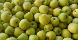 Cześć. Sprzedam 40 ton jabłek. Golden Delicious 65+ mm