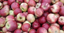 Sprzedam Idareda po lekkim gradzie z KA 7+ lub