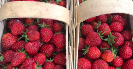 Nowy sezon 2021 – kontynuujemy dobra tradycje Nie wiesz