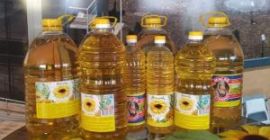 producenci oleju słonecznikowego w australii najlepsza marka oleju rzepakowego