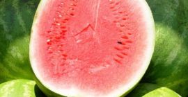 Szanowni Państwo. Sprzedajemy soczyste arbuzy. Tylko ilości cało samochodowe.