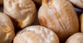 Sprzedam ciecierzycę spożywczą luzem od producenta. GOST. Opcja eksportu.