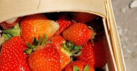 Sprzedam codziennie świeże truskawki różne odmiany proszę o kontakt