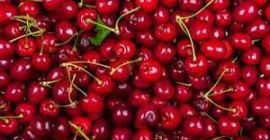 Fresh Cherry – kolor ciemnoczerwony, soczysty, słodki. Sortuj –