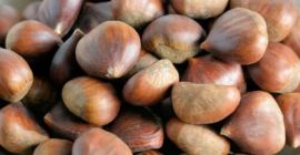 Jesteśmy hurtowymi dostawcami kasztanów, a nasza firma wyróżnia się