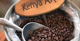 Ziarna kawy ROBUSTA Cena: 12,58 USD/kg Minimalne zamówienie: 10