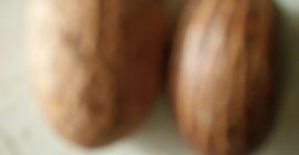 Wysokiej jakości gorzka kola, znana również jako Garcinia Kola.