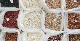 Firma &quot;Бинс Натурпродукт&quot; oferuje do sprzedaży różne odmiany fasoli