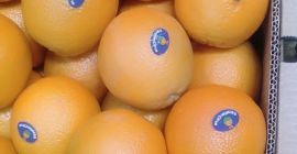 Witam, DOSTAWY REGULARNE CO TYDZIEŃ, tylko na ten miesiąc