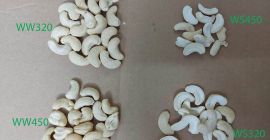 Firma Indiana obecna na rynku europejskim od ponad 10