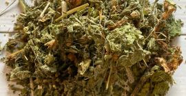 Sprzedam Prawoślaz ziele (Althaea herba ), duże ilości z