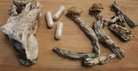 Skrzynka odbiorcza na sprzedaż magicznych grzybów po więcej szczegółów