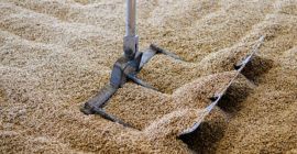 10% wilgotność białka zbożowego 25% 100% czystość 40kg suchego