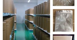 Ekstrakt organiczny Saxifraga Saxifraga sarmentosa / S. stolonifera 98%