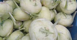 Sprzedam kalarepę . Duże ilości , kaliber w/g potrzeby