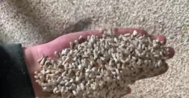 Sprzedajemy krokosz barwierski Rostów nad Donem port &quot;KORVET&quot; 600