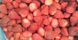 truskawka z Egiptu , odmiana Festiwal , Mrożona ,