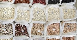 Ukraińska firma „Bins Naturprodukt” oferuje fasolę hurtową. Fasola uprawiana