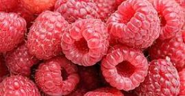 Sprzedam tanio owoce maliny jesiennej (Polka, Polana) z areału