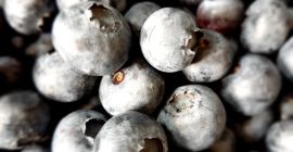 Sprzedam owoce borówki amerykańskiej. Świeże i ładne, zbierane pod