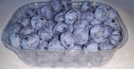 Witam sprzedam borówkę amerykańską do 1.5 tony tygodniowo. Bardzo