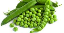 Najwyższej jakości zielona fasola mung / mrożona zielona fasola