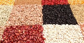 Oferujemy kupno fasoli uprawianej na polach Ukrainy. Kosze Naturalproduct