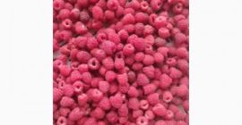 Firma z doświadczeniem w skupie i przetwórstwie jagód poszukuje