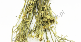 Sprzedam Krwawnik kwiat (Millefolii flos) i Krwawnik ziele (Millefolii