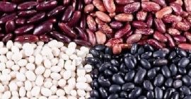 Sprzedaż hurtowa fasoli. Produkcja fasoli Ukraina. Firma Bins Naturproduct