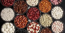 Ukraińska firma „Bins Naturprodukt” zajmuje się sprzedażą hurtową fasoli
