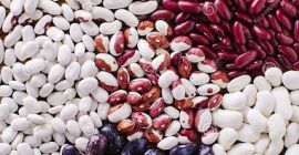 Oferujemy kupno fasoli luzem Bins firmy Naturprodukt (Ukraina). Objętość