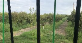 Prosimy o kontakt w sprawie cen. Ceny to Ex