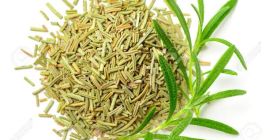 Ugaherbs Rosemary herbs (zimozielone) tutaj w Ugandzie Sembabule District,
