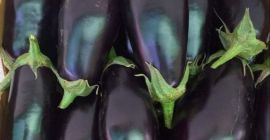 Sprzedam bakłażan aragoński